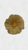 Margarete medii