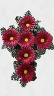 Coroane cruce