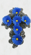 Coroane cruce
