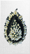 Coroane C3 cu Pin